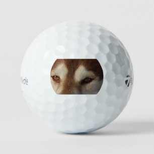 siberian-husky-red and white eyes golf balls