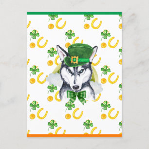 Siberian Husky Shamrock St. Patricks Day Holiday Postcard