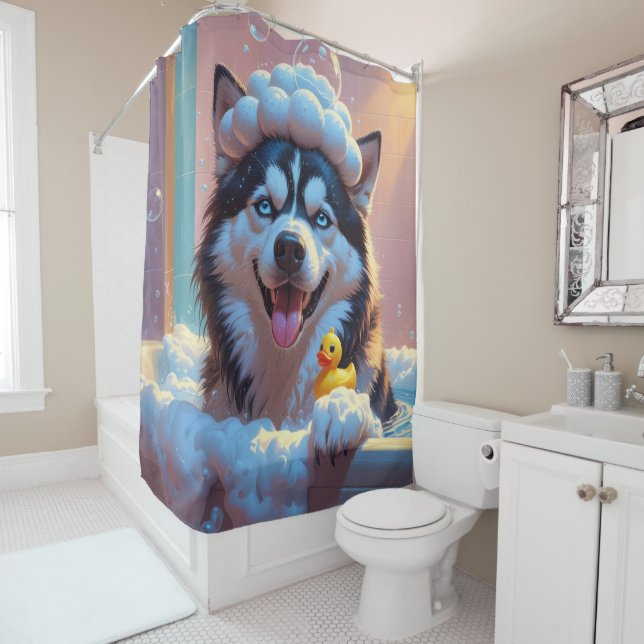 Siberian Husky  Sloppy Sleepy Cute Funny  (In Situ)