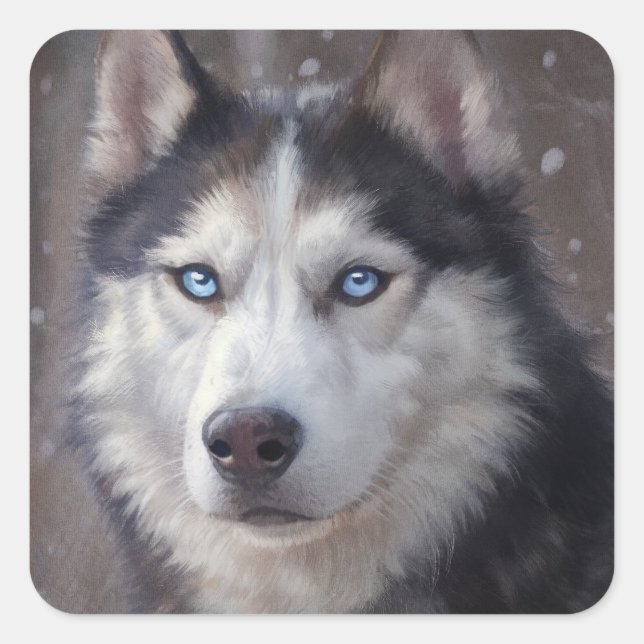 Siberian Husky Snow Square Sticker (Front)