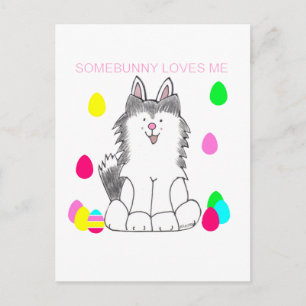 Siberian Husky Somebunny Loves Me Postcard