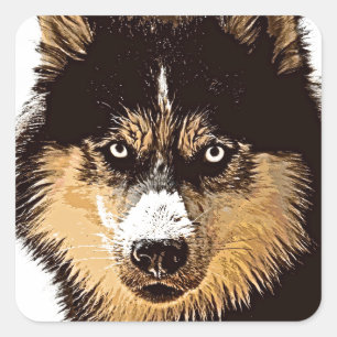 Siberian Husky Square Sticker