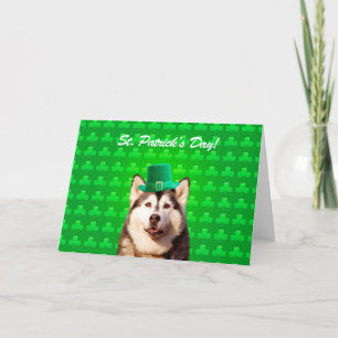 Siberian Husky St Patricks Day Clove Greeting Card