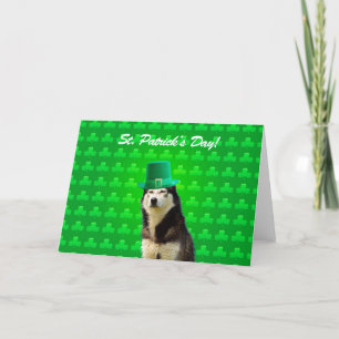 Siberian Husky St Patricks Day Clove Greeting Card