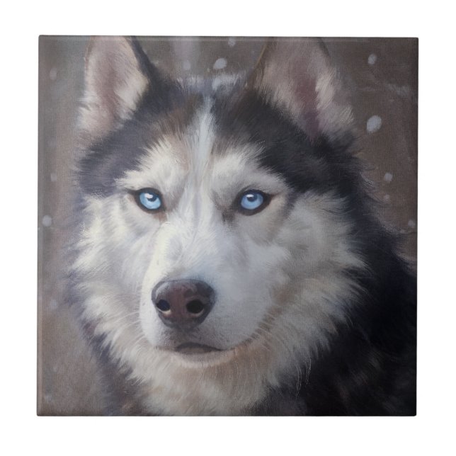 Siberian Husky Tile (Front)
