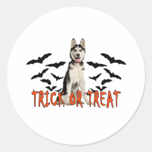 Siberian Husky Trick T Shirts.png Classic Round Sticker