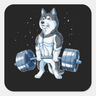 Siberian Husky Weightlifting Funny Deadlift Men Square Sticker