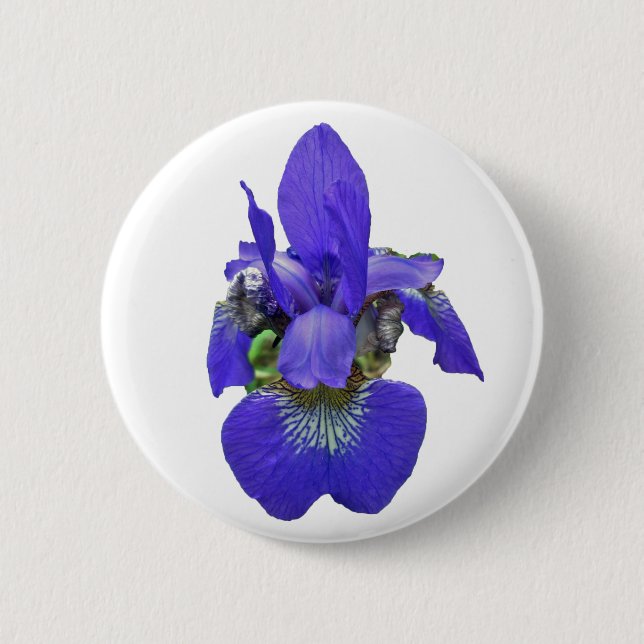 Siberian Iris Coordinating Items 2 Inch Round Button (Front)