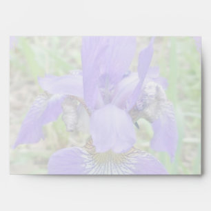 Siberian Iris Wildflower - Iris sibirica Envelope