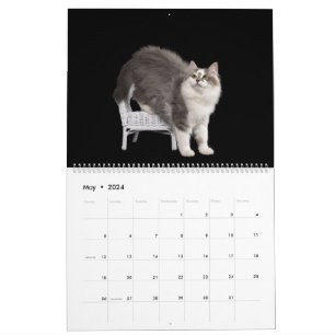 Siberian Kittens Calendar