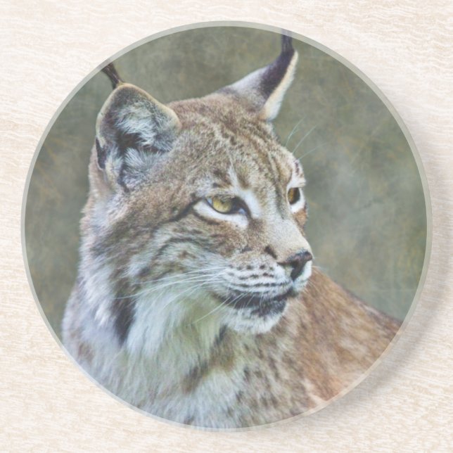 Siberian Lynx Coaster (Front)