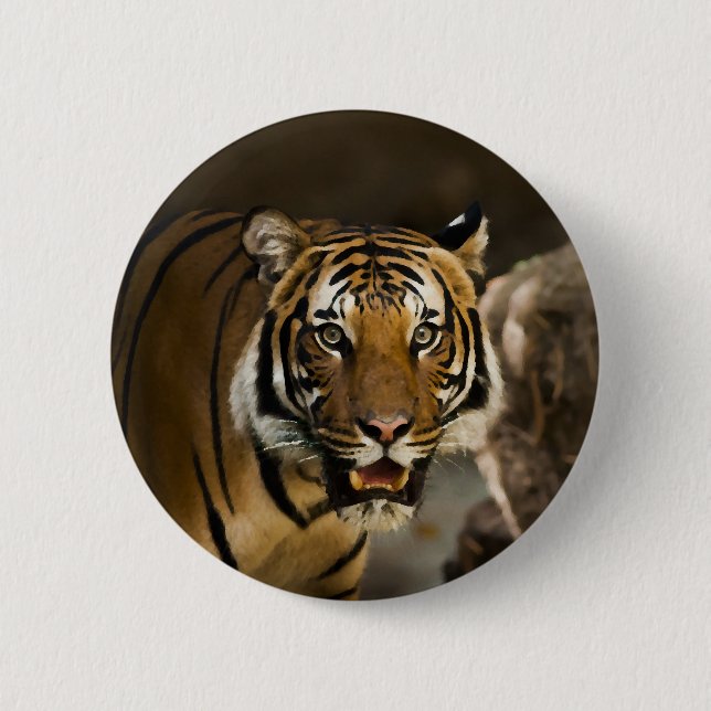 Siberian Tiger 2 Inch Round Button (Front)