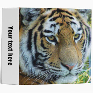Siberian Tiger, Amur Tiger Binder