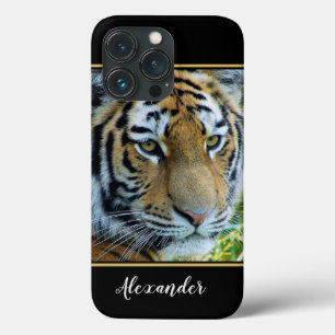 Siberian Tiger, Amur Tiger iPhone 13 Pro Case
