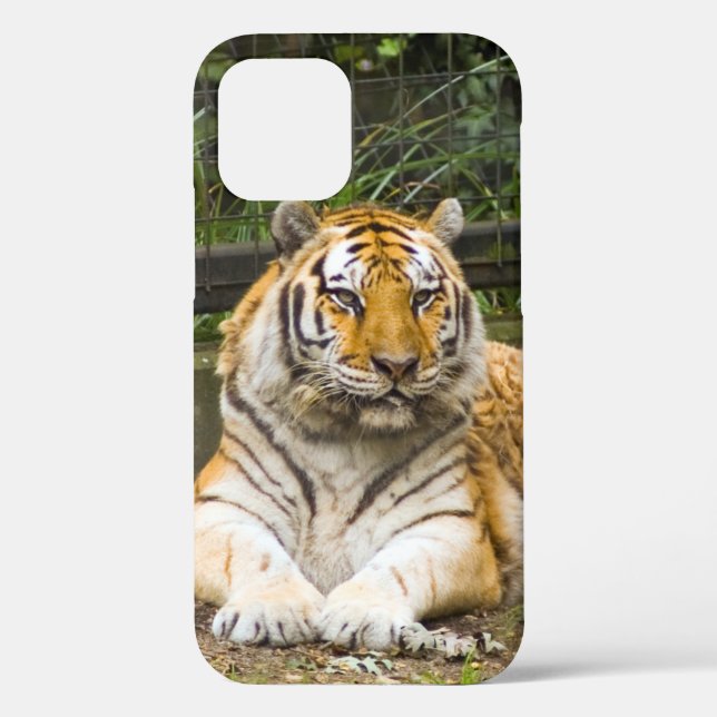 Siberian Tiger Case-Mate iPhone Case (Back)