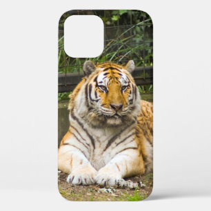 Siberian Tiger iPhone 12 Case