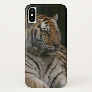 Siberian Tiger Case-Mate iPhone Case