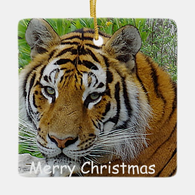 Siberian Tiger Closeup Photo of Face Ceramic Ornament (Front)