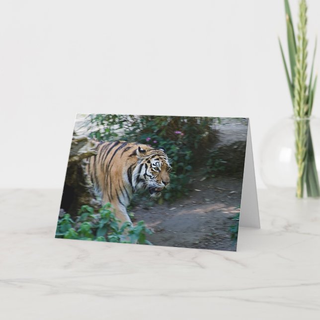 Siberian Tiger • Greeting Card (Front)
