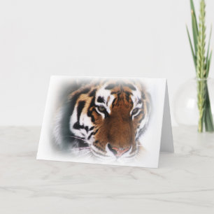 Siberian tiger Greeting card