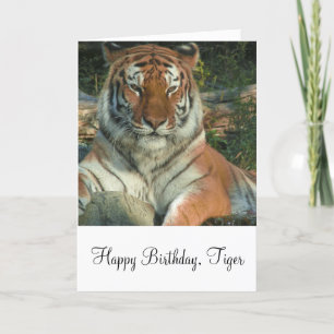 Siberian Tiger Greeting Card