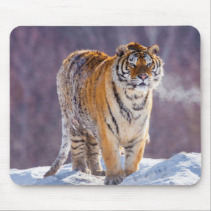Siberian tiger in snow, China Mouse Pad