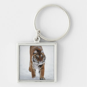 Siberian Tiger In Snow Keychain