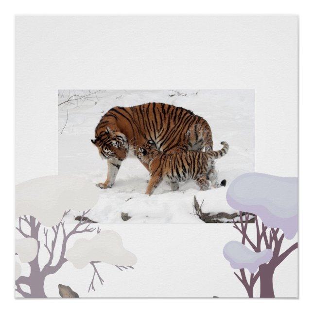 Siberian tiger in snow poster (Front)