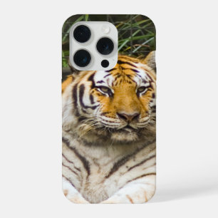 Siberian Tiger iPhone 15 Pro Case