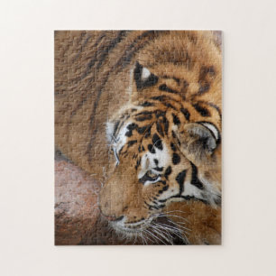 Siberian Tiger Jigsaw Puzzle