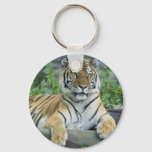 Siberian Tiger Keychain