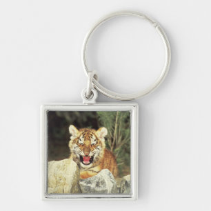 Siberian Tiger Keychain