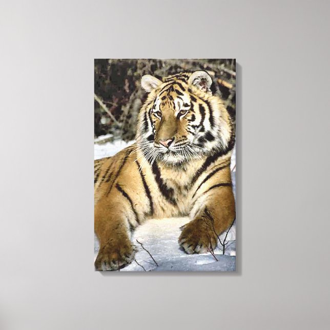 Siberian Tiger Lovers Art Canvas Print (Front)