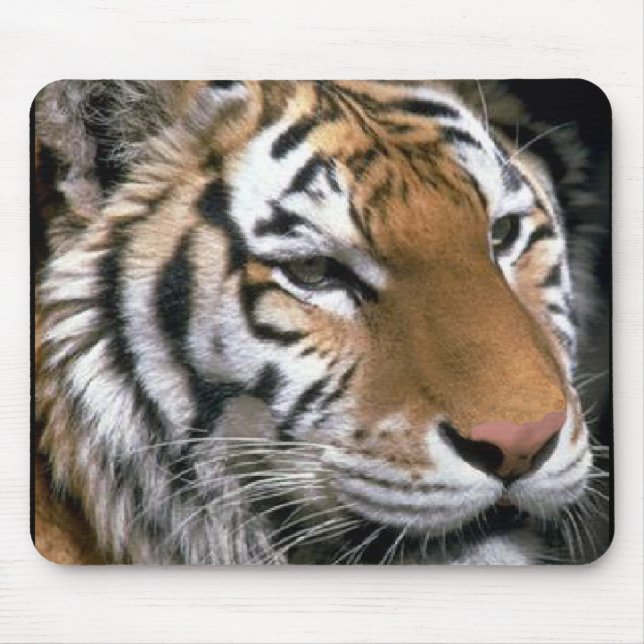 Siberian Tiger Lovers Art Mouse Pad (Front)