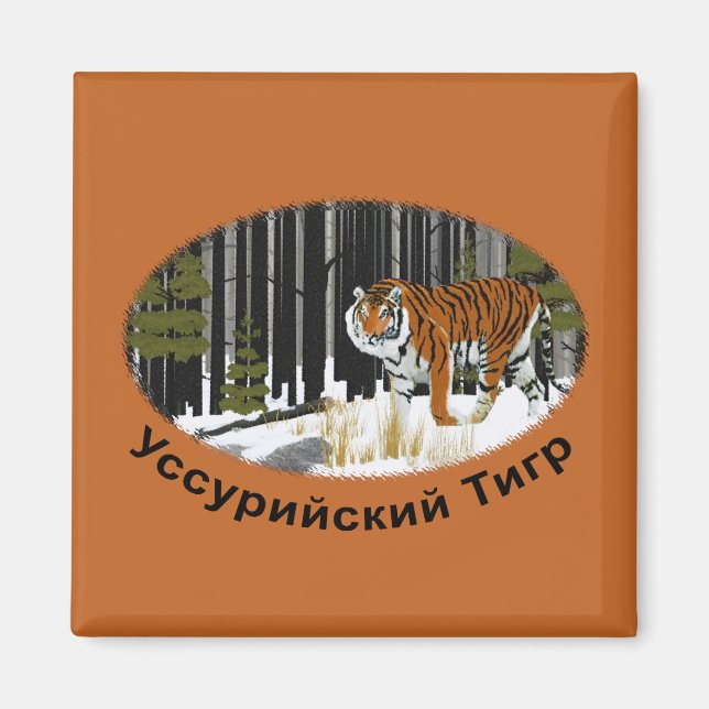 Siberian Tiger Magnet (Front)