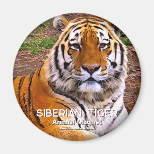 Siberian Tiger Magnet