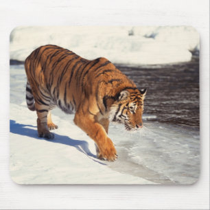 Siberian tiger mouse pad