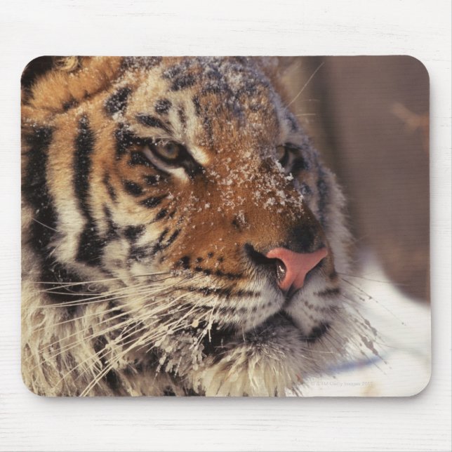 Siberian tiger mouse pad (Front)