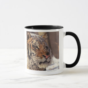 Siberian tiger mug
