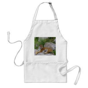 Siberian tiger on a rock standard apron