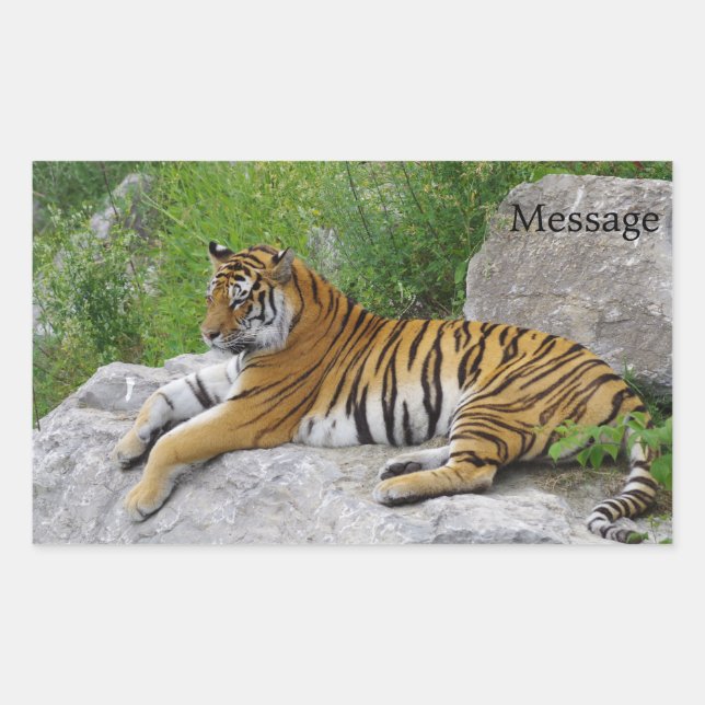 Siberian Tiger Relaxing on a Rock Sticker (Front)