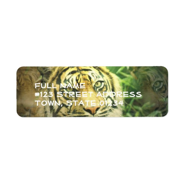 Siberian Tiger Return Address Label (Front)