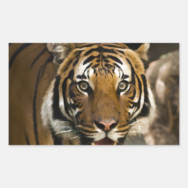 Siberian Tiger Sticker (Front)