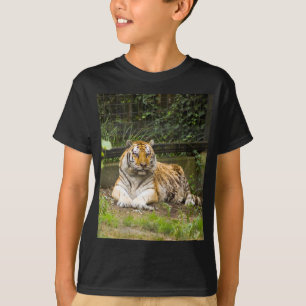 Siberian Tiger T-Shirt