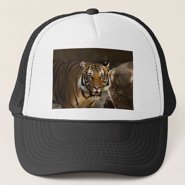 Siberian Tiger Trucker Hat (Front)