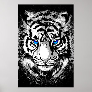 Siberian White Tiger Head - Tiger Poster Blue Eyes