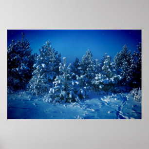 Siberian Winter Poster