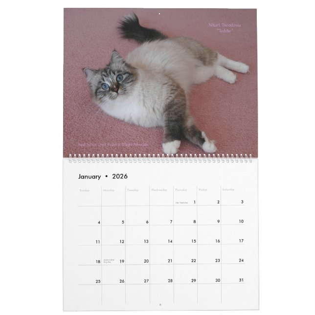 Siberians Cats January 2014 to March 2015 Calendar (Jan 2026)
