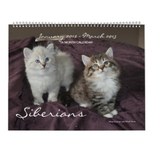 Siberians Cats Kittens 2012 - 2013 Calendar