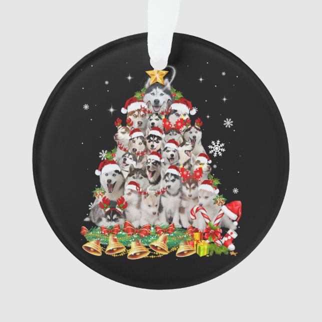 Sibérie des lumières des arbres de Noël | chien xm (devant)